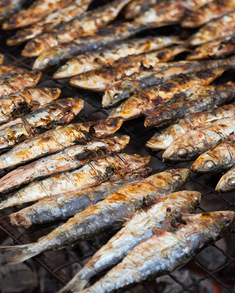 rustida dei pescatori cesenatico